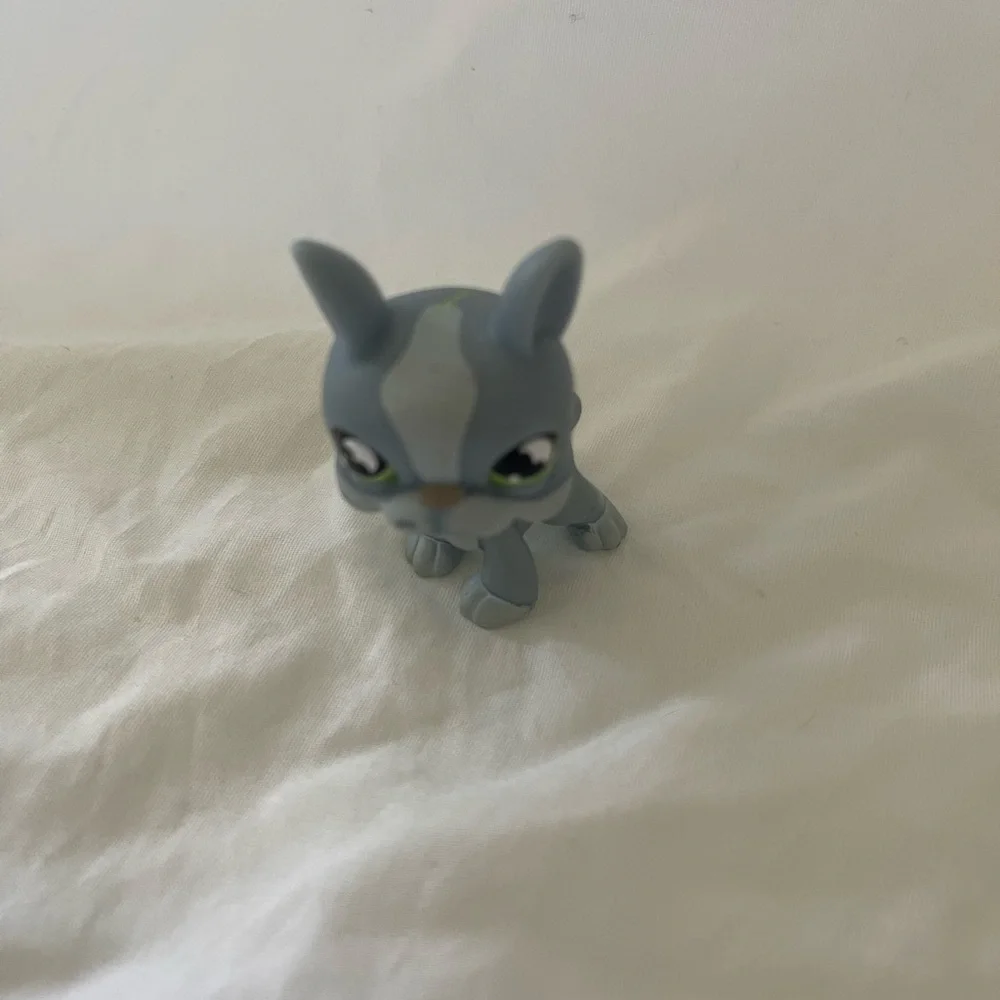 Littlest Pet Shop LPS Blue dog, Boston Terrier, bat eyes #857